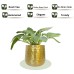 Golden Metal Planter for Home Decor Decoratives for Indoor Outdoor Balcony Living Room